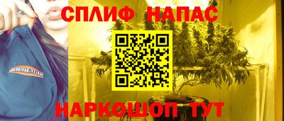 сатива Бузулук