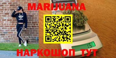 сатива Бузулук